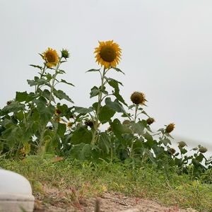 Meet your Posher, Joseph